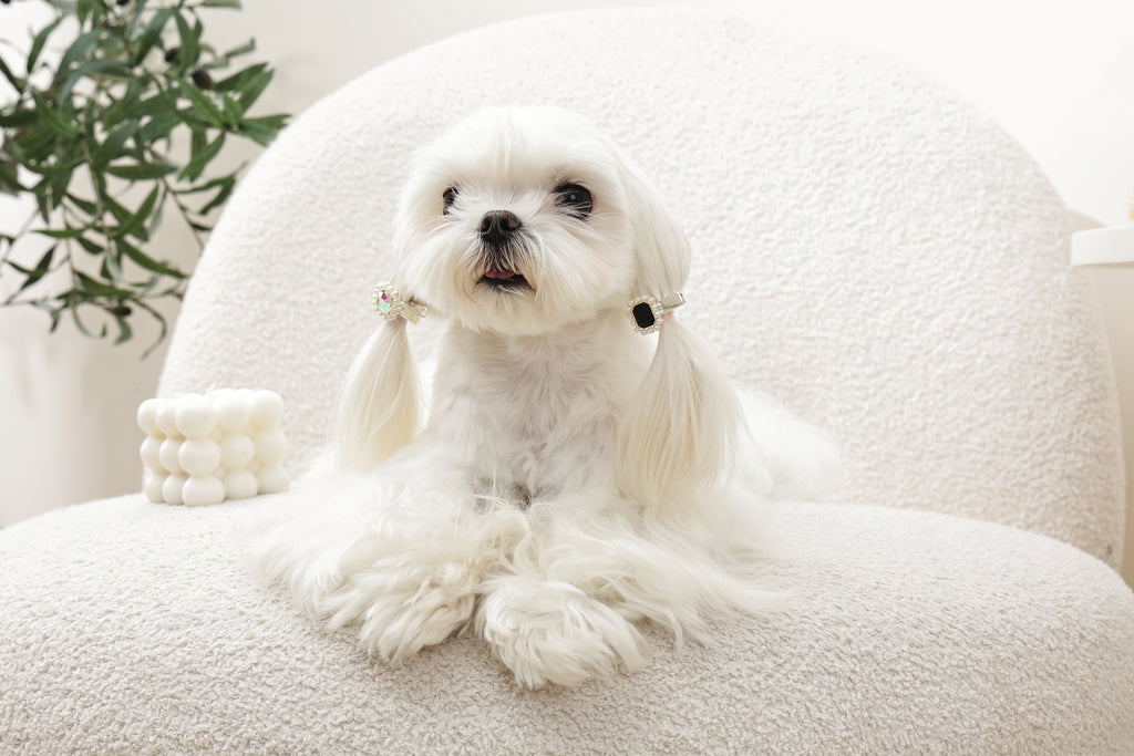 GLAM Hair Accessories for pets diamond shape clip - Black & Silver