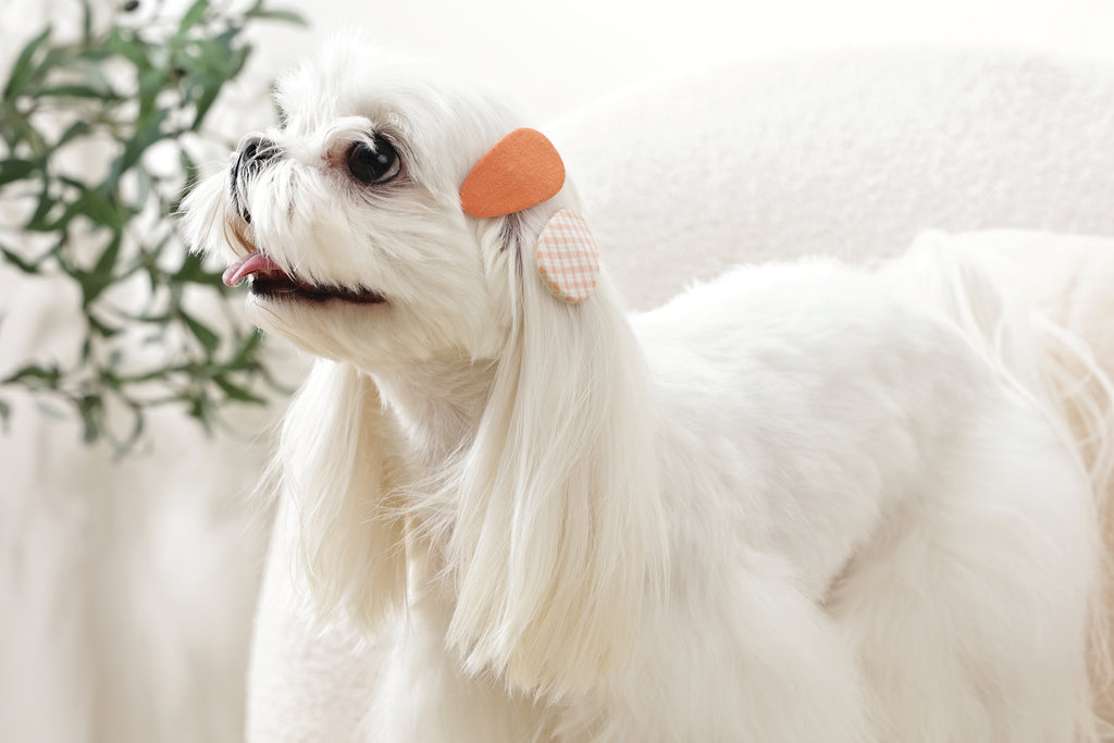 GLAM Hair Accessories for pets clip - Orange