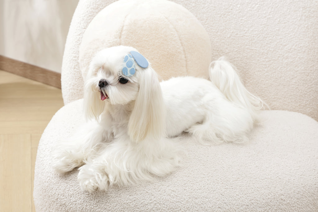 GLAM Hair Accessories for pets clip - Blue