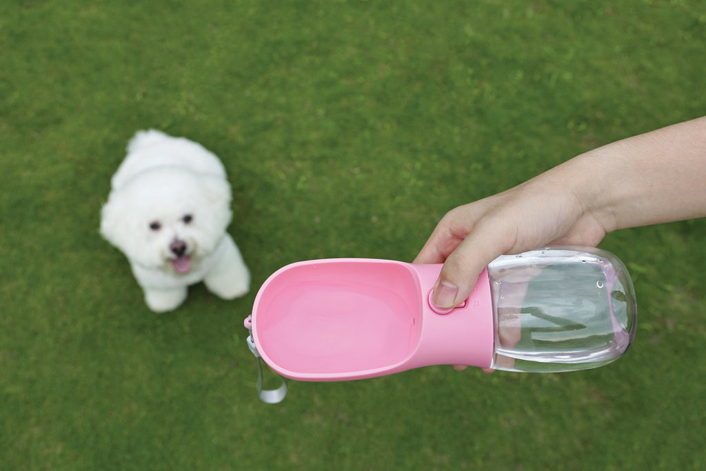 ON THE ROAD Dog water bottle 600 ml - 3 in 1 - Pink bloom