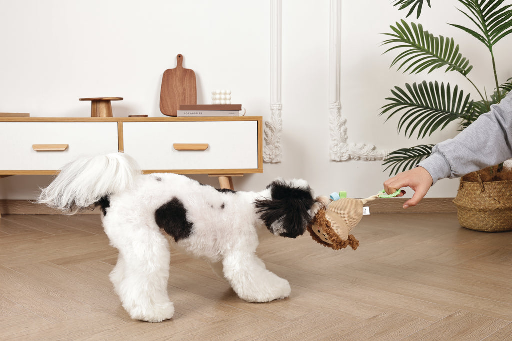 Slippers Dog toy Monkey