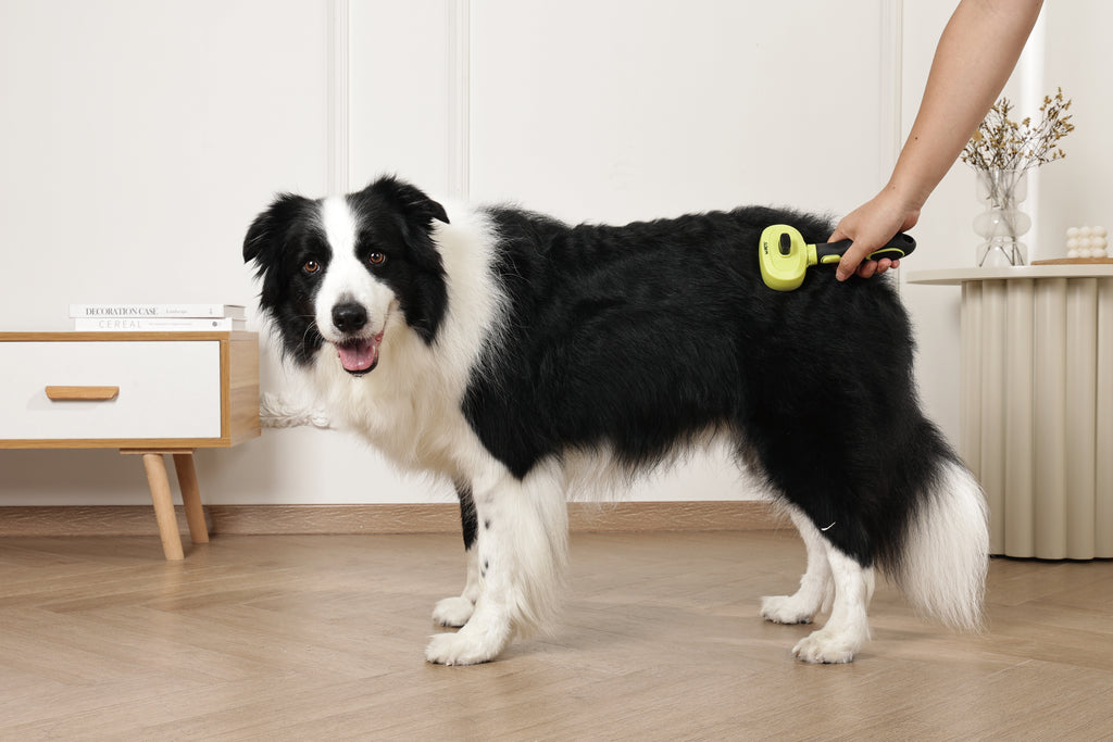 CLICK and GROOM 1-click Cleaning Pin