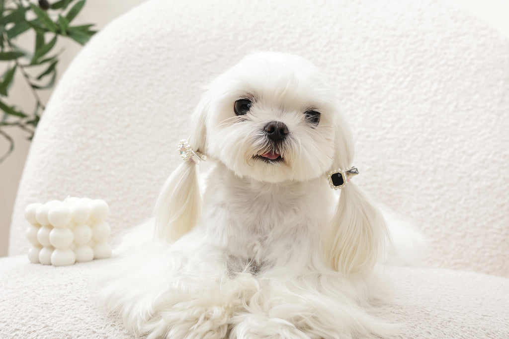 GLAM Hair Accessories for pets diamond shape clip - Black & Silver