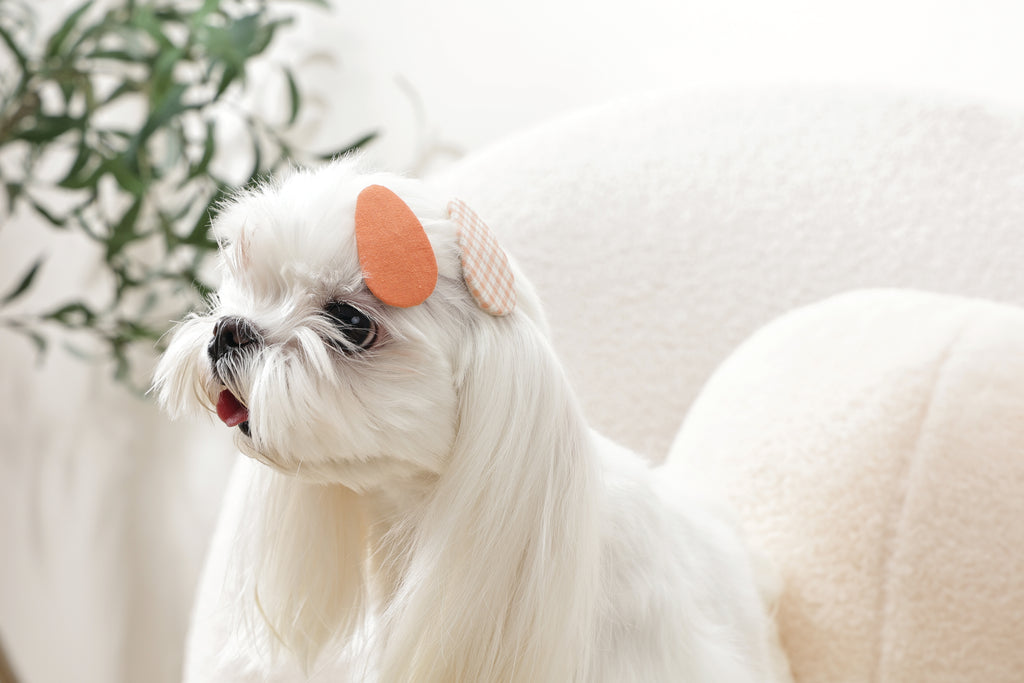 GLAM Hair Accessories for pets clip - Orange