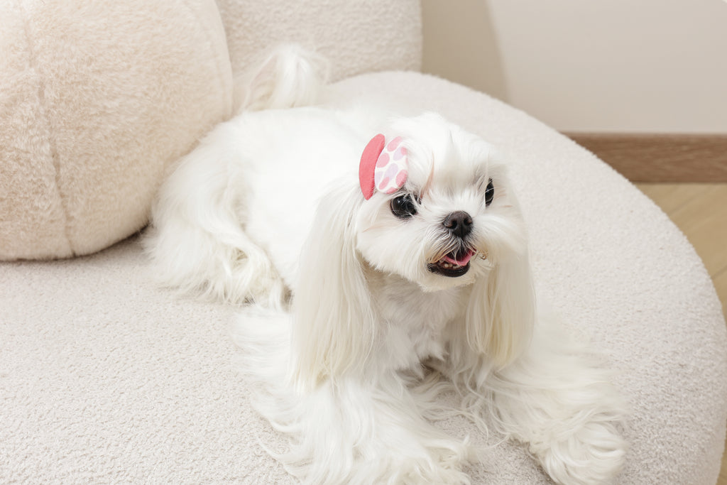 GLAM Hair Accessories for pets clip - Red