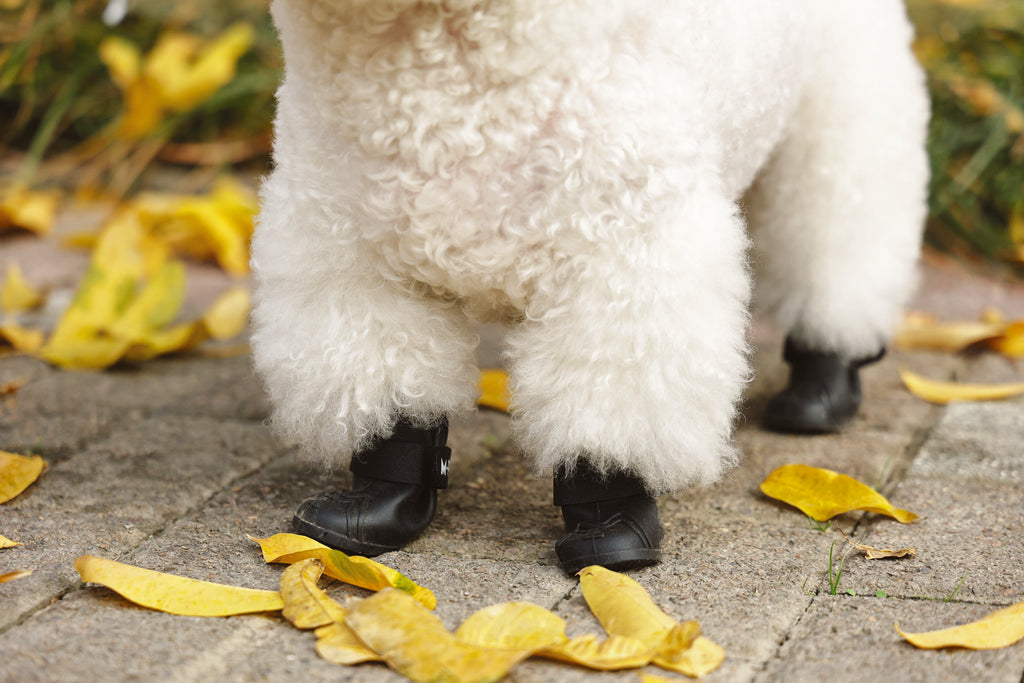 RAINY DAY Dog shoes Black