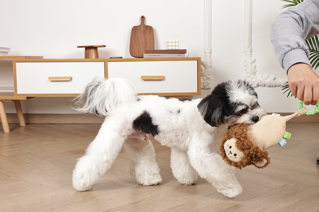 Slippers Dog toy Monkey