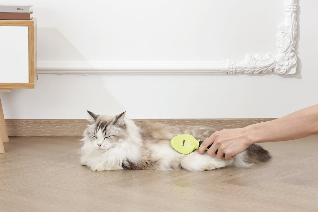 CLICK and GROOM Slicker Brush