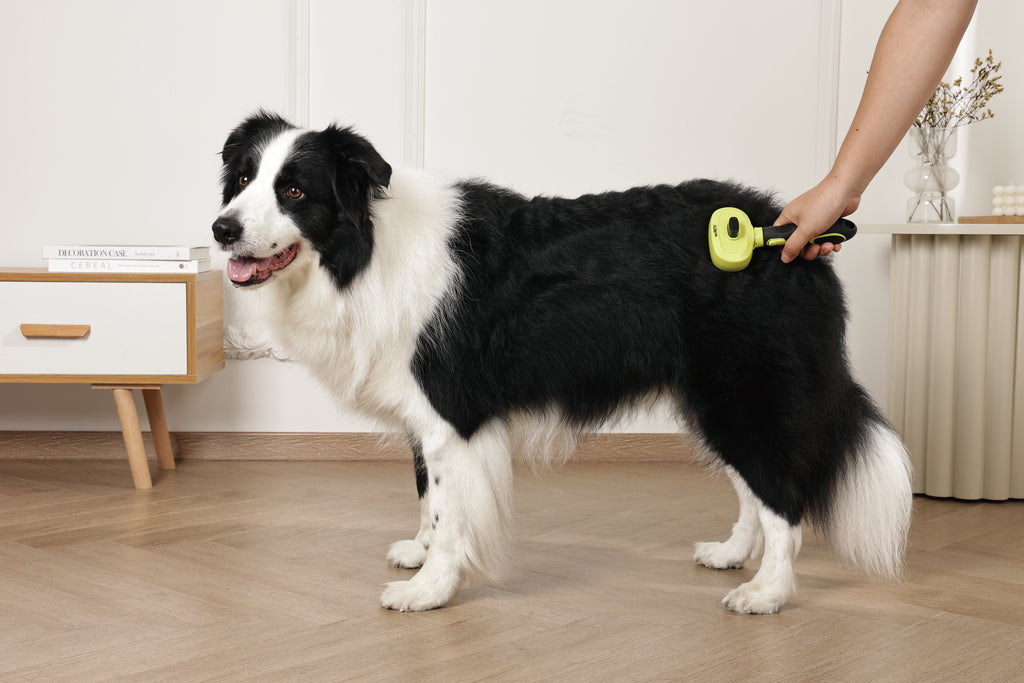 CLICK and GROOM 1-click Cleaning Pin