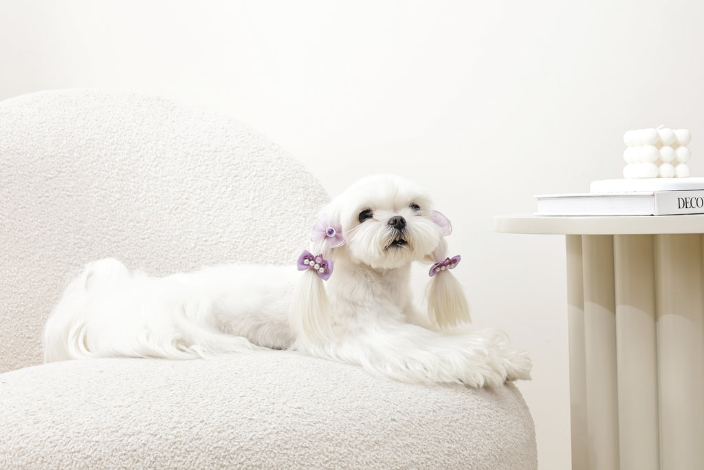 GLAM Hair Accessories for pets rubber band - Purple