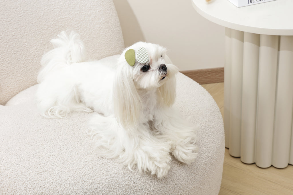 GLAM Hair Accessories for pets clip - Green