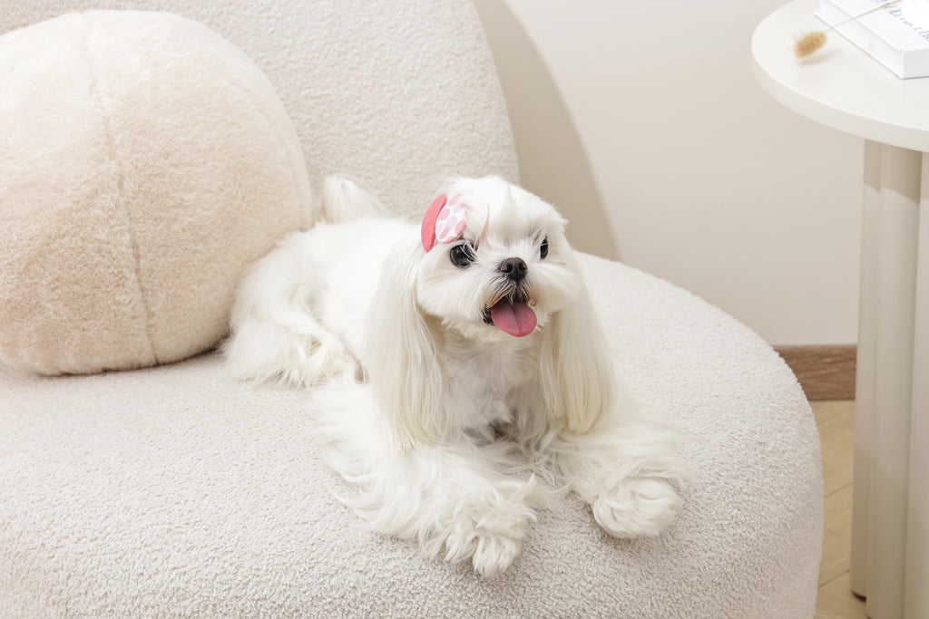 GLAM Hair Accessories for pets clip - Red