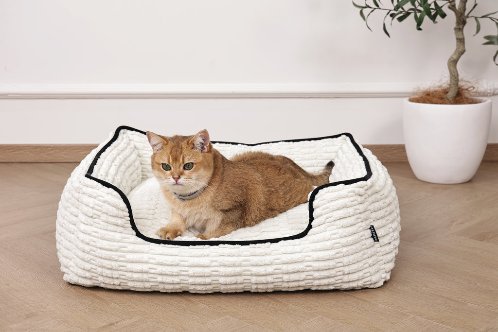 KEEP CALM - Calming pheromone collar for cats 1pc