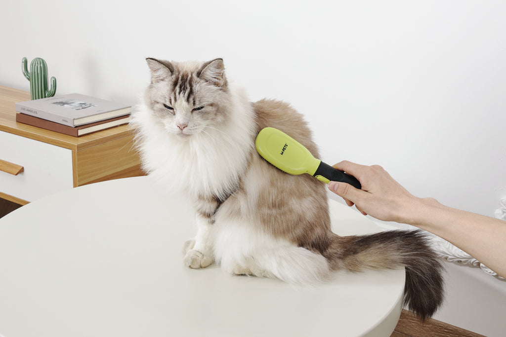 CLICK and GROOM Pin Brush