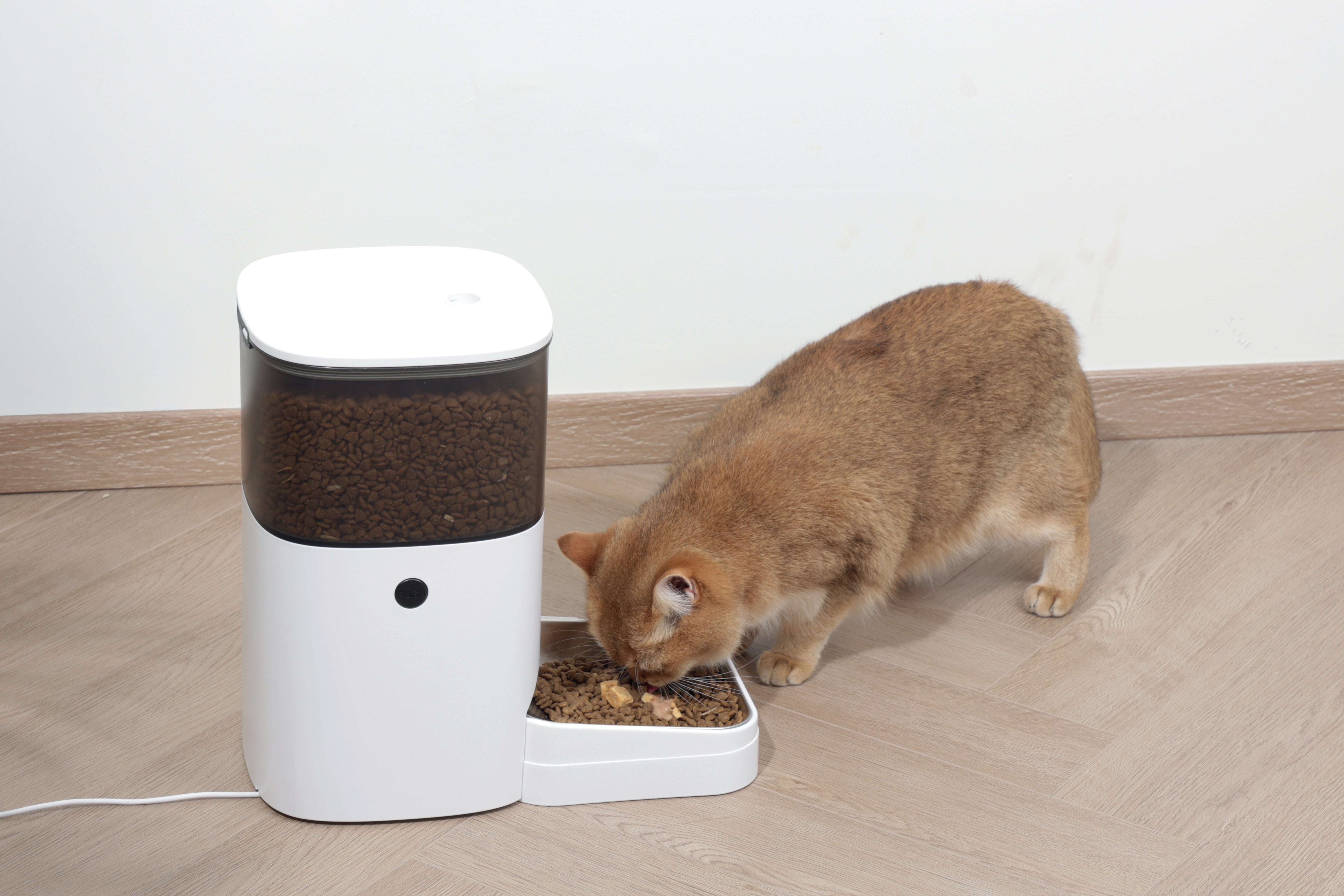 Smart M700 SMARTO M700 4L Automatic Food dispenser – M-PETS