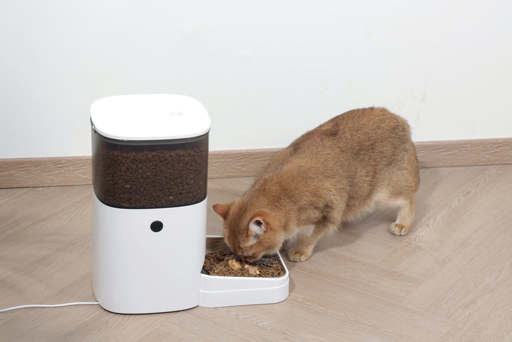 SMARTO M700 4L Automatic Food dispenser