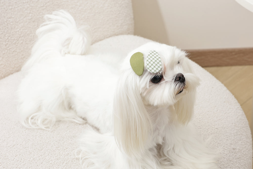 GLAM Hair Accessories for pets clip - Green