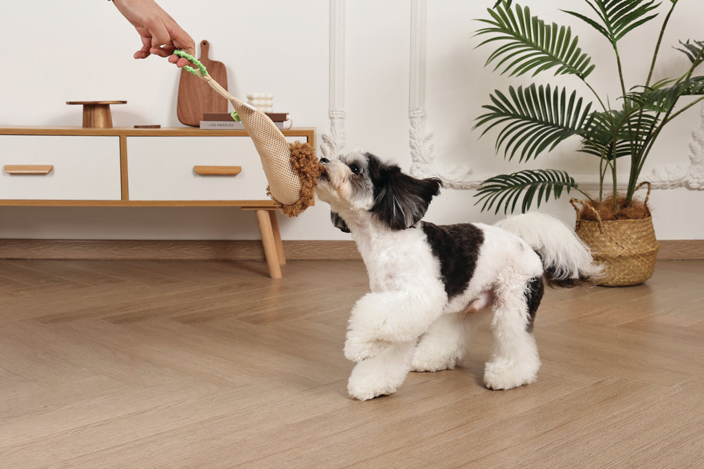 Slippers Dog toy Monkey