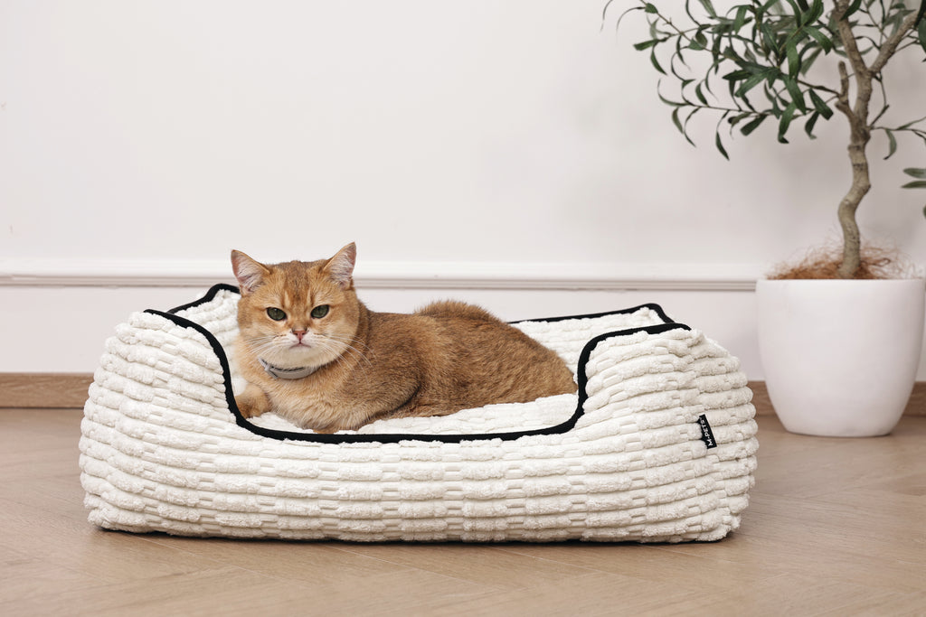 KEEP CALM - Calming pheromone collar set for cats 4 pcs