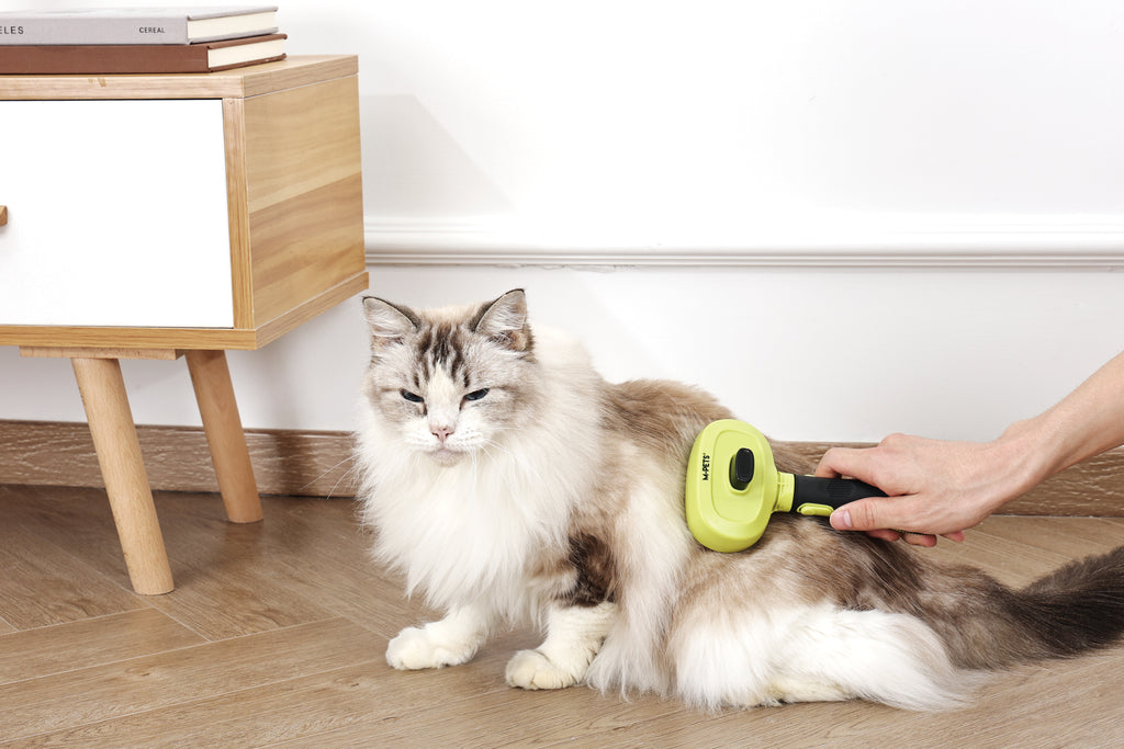 CLICK and GROOM 1-click Cleaning Pin