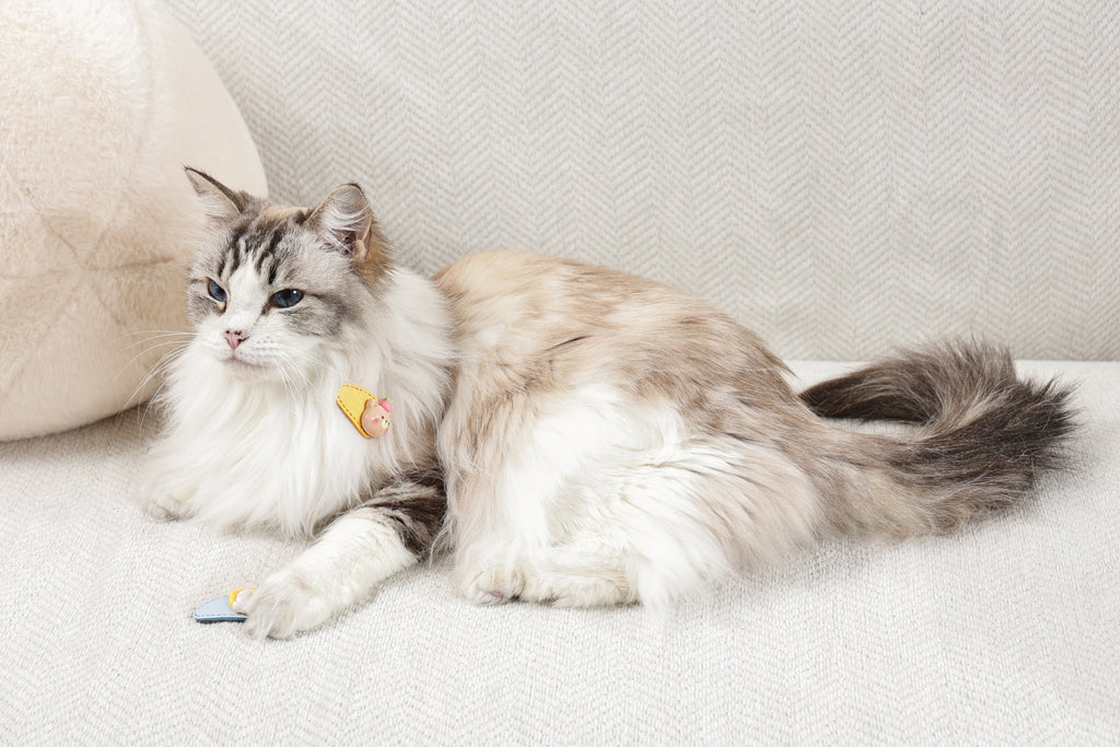 GLAM Hair Accessories for pets clip - Yellow