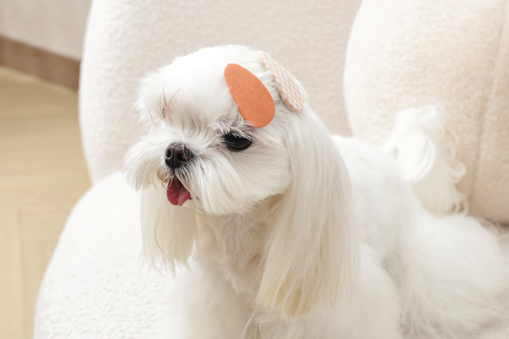 GLAM Hair Accessories for pets clip - Orange