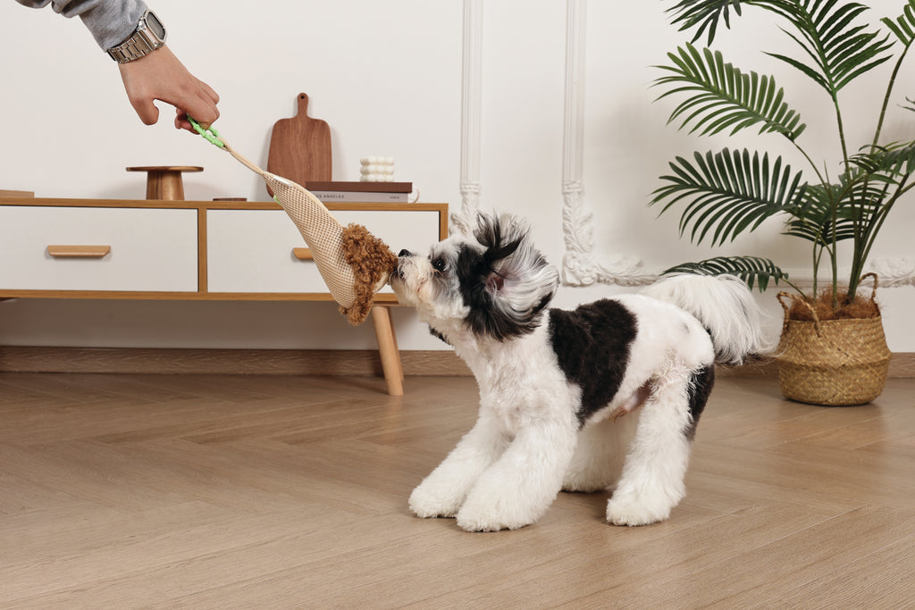 Slippers Dog toy Monkey