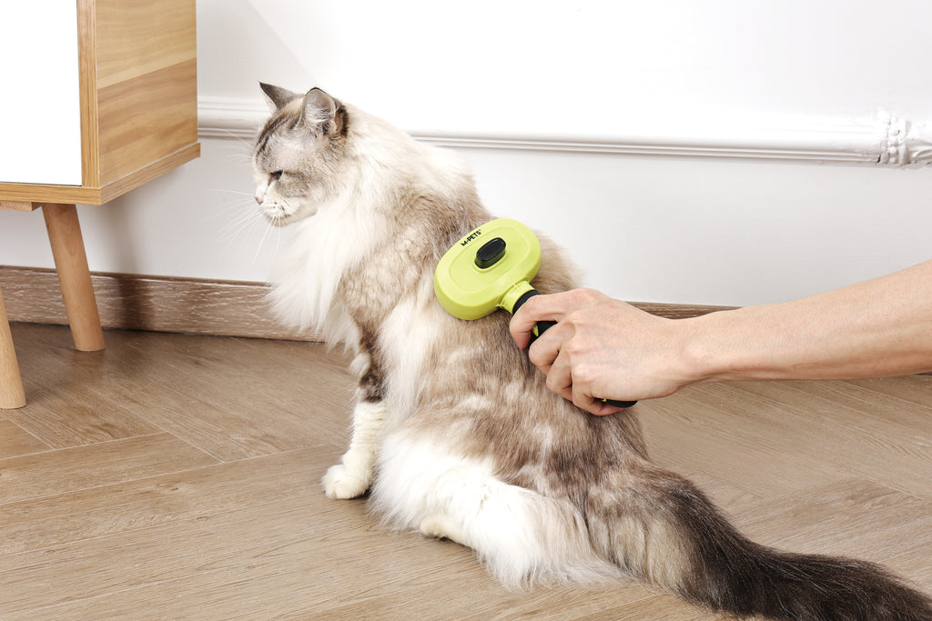 CLICK and GROOM 1-click Cleaning Pin