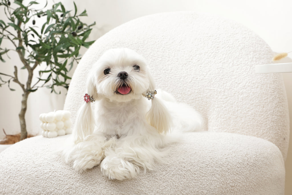 GLAM Hair Accessories for pets flower shape clip - Pink & White