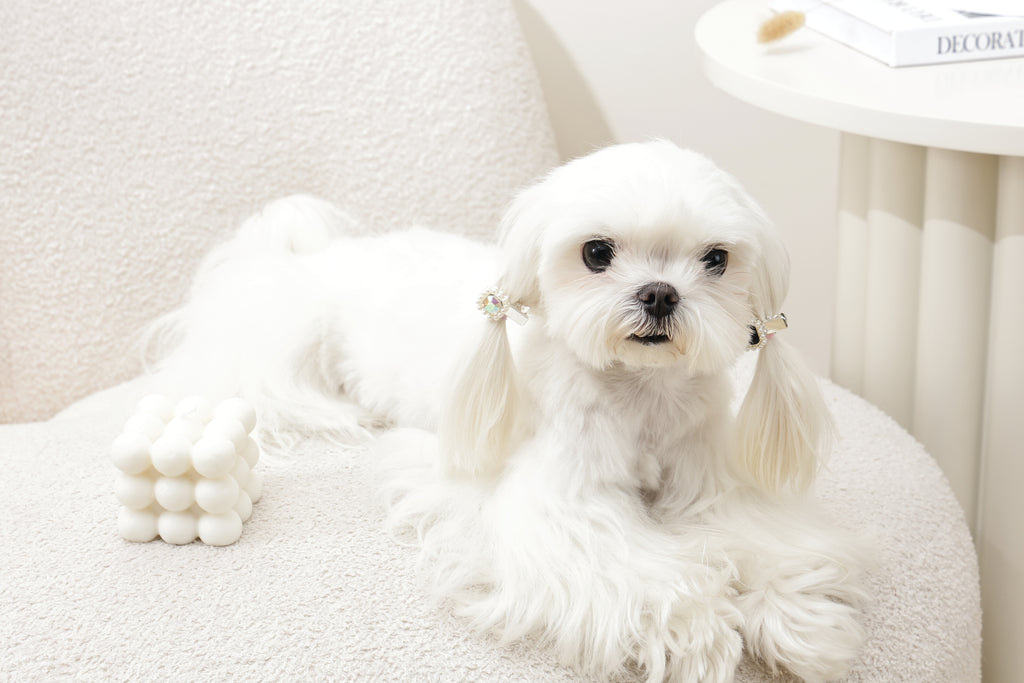 GLAM Hair Accessories for pets diamond shape clip - Black & Silver