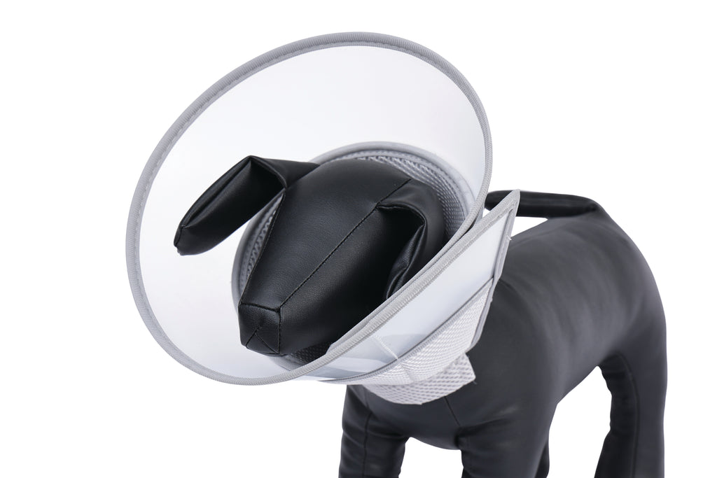 PROCARE Cone Collar
