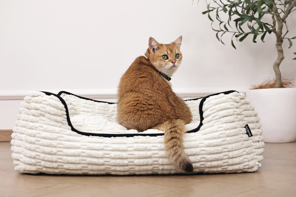 KEEP CALM - Calming pheromone collar set for cats 4 pcs