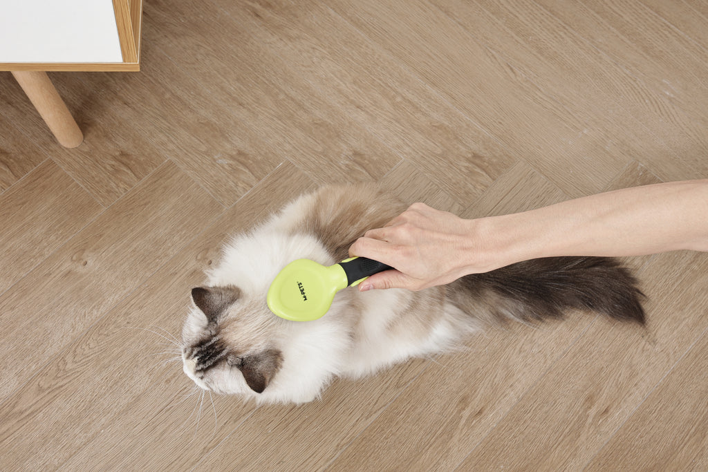 CLICK and GROOM Slicker Brush