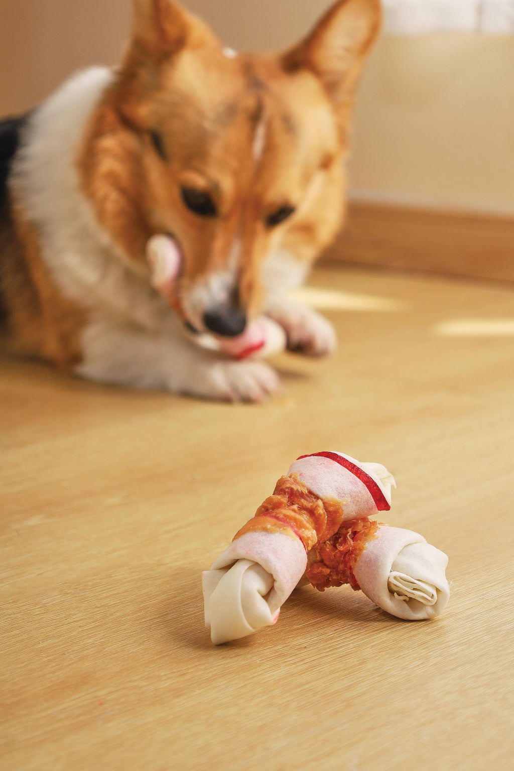 DUO BONE WRAPPED WITH CHICKEN  Dog Treat