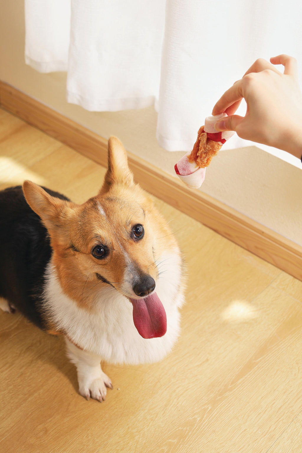 DUO BONE WRAPPED WITH CHICKEN  Dog Treat