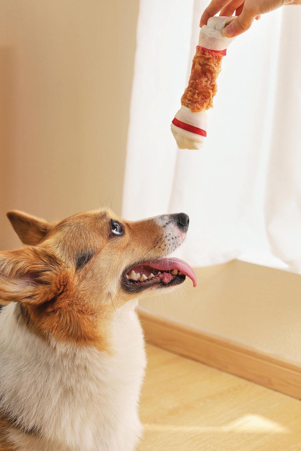 DUO BONE WRAPPED WITH CHICKEN  Dog Treat