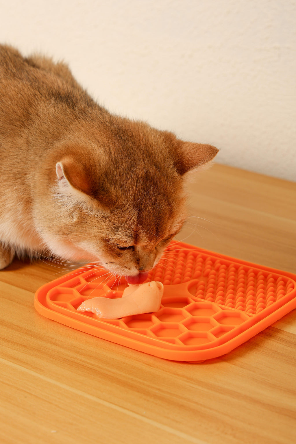 Friandises crémeuses pour chats - Saumon et bœuf