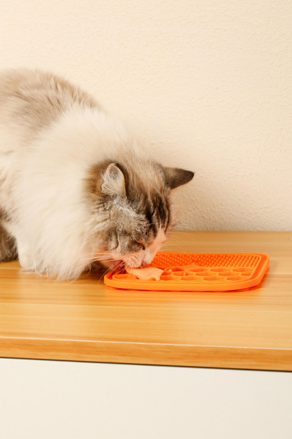 Friandises crémeuses pour chats - Thon