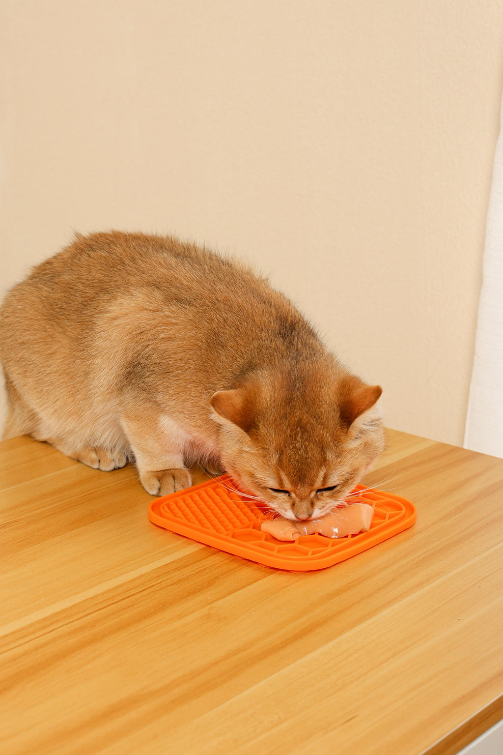 Friandises crémeuses pour chats - Thon et pétoncles