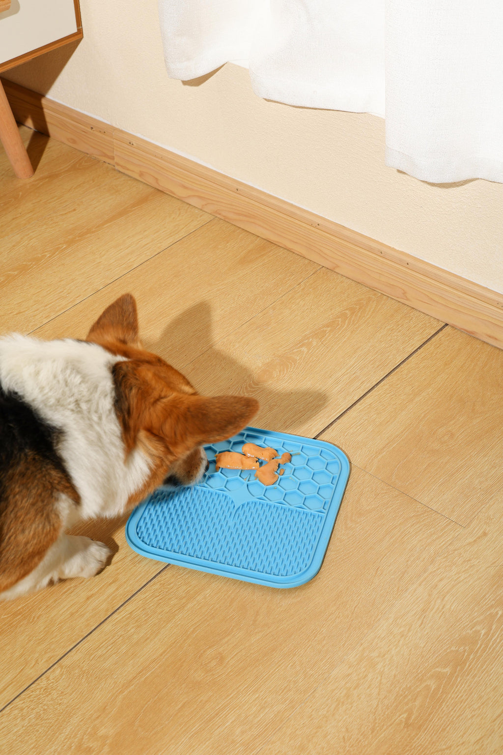 Friandises crémeuses pour chiens - Saumon et bœuf