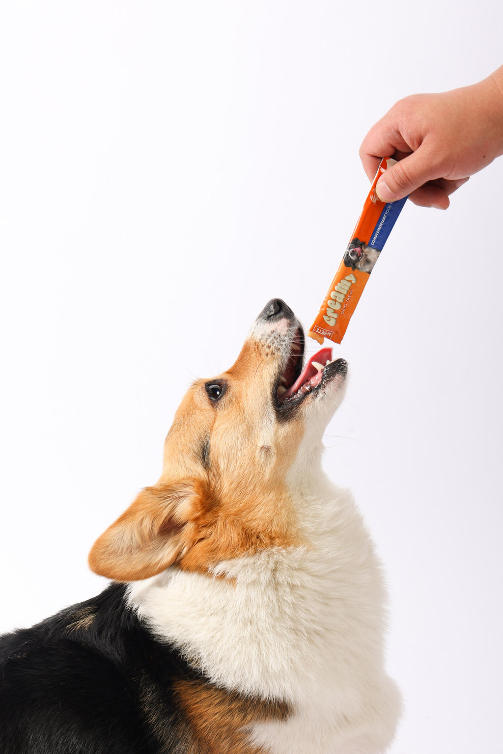 Friandises crémeuses pour chiens - Crabe