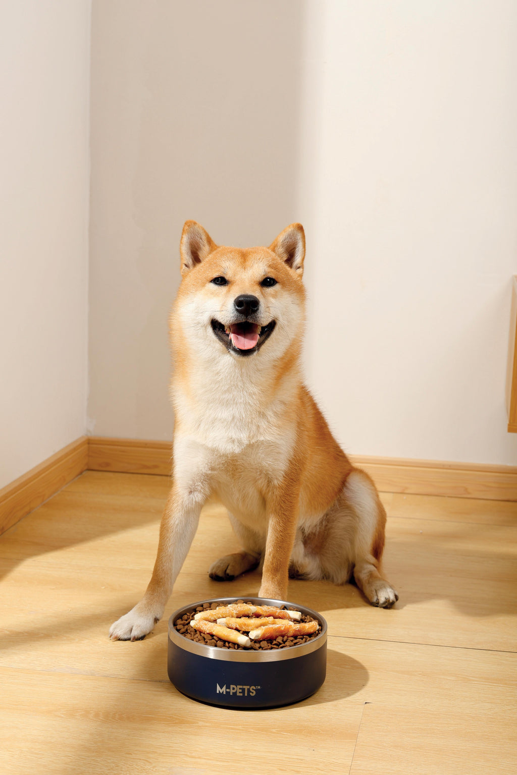 Friandise pour chien au biscuit roulé au poulet