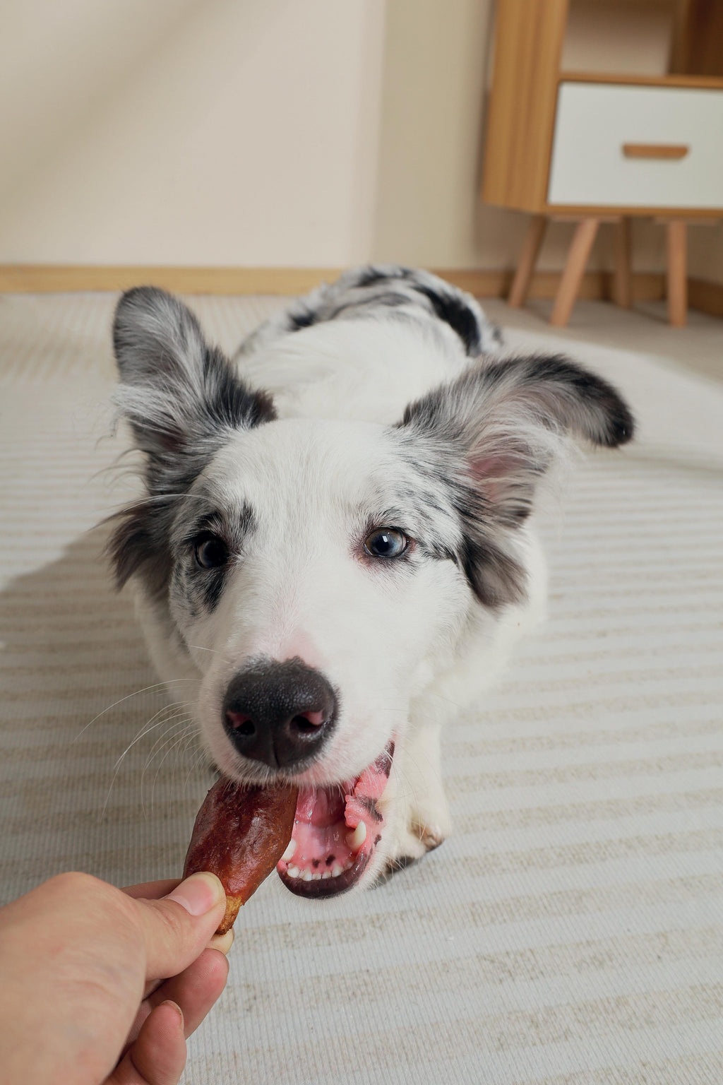 BBQ KINGS - Collations pour chiens Bouchées de côtes levées