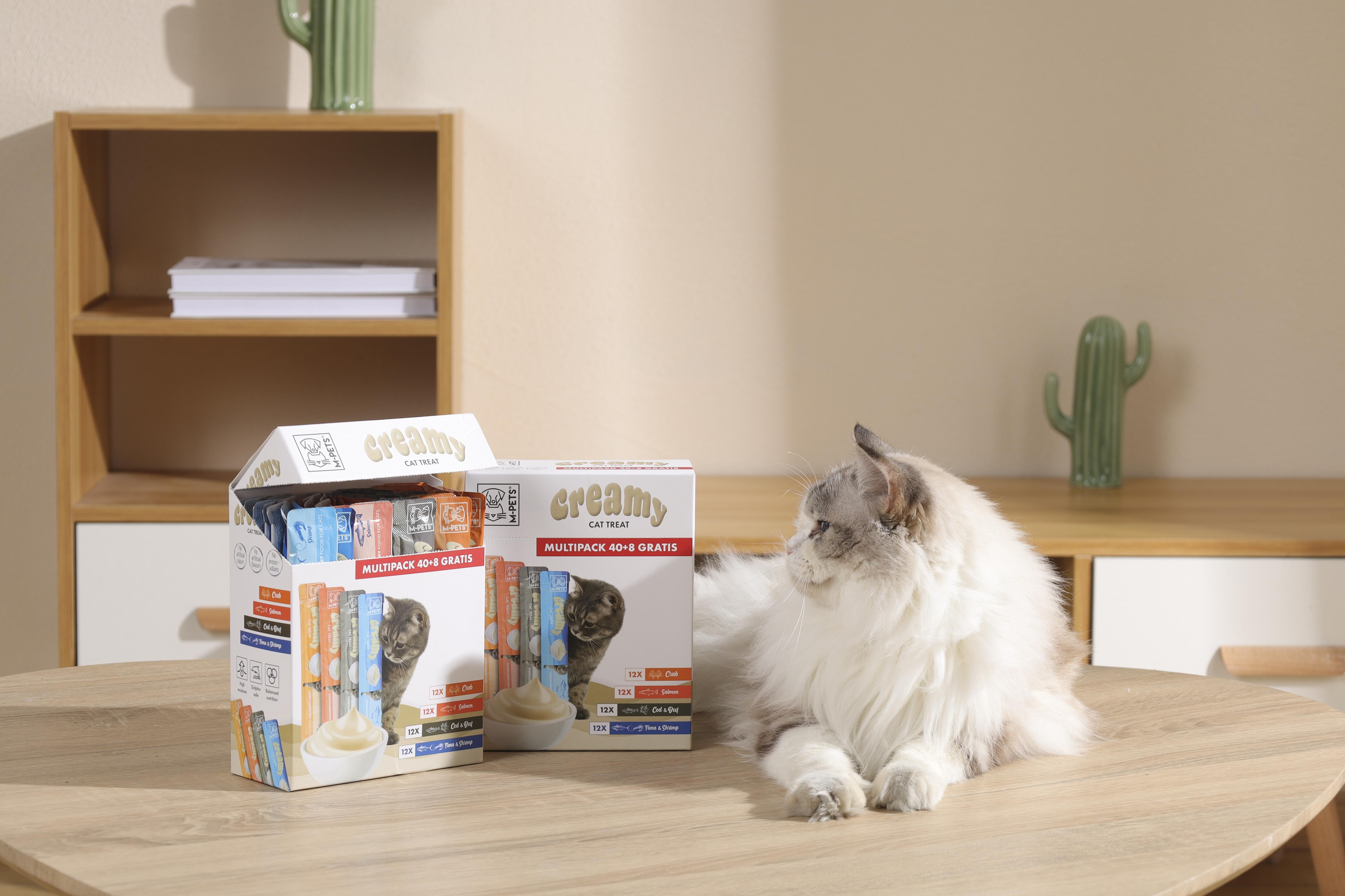 family cats　0728 family cats 0728 Cat Family A HAPPY FAMILY Momma Cat Playful