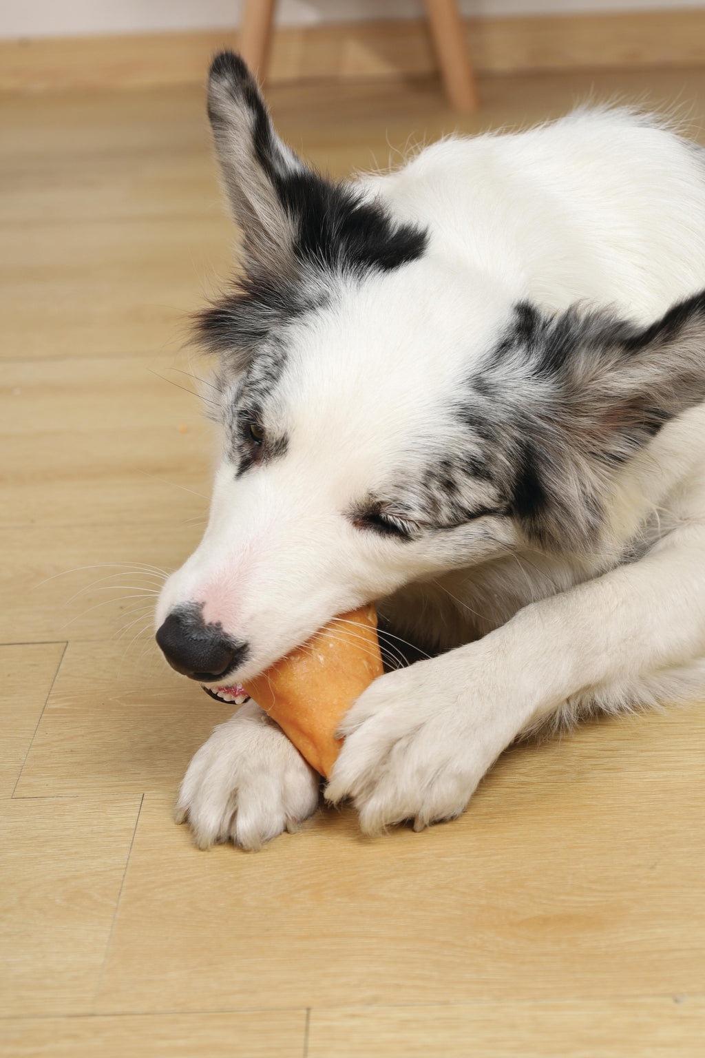 Friandise pour chien BITE DELIGHT à la cuisse de poulet