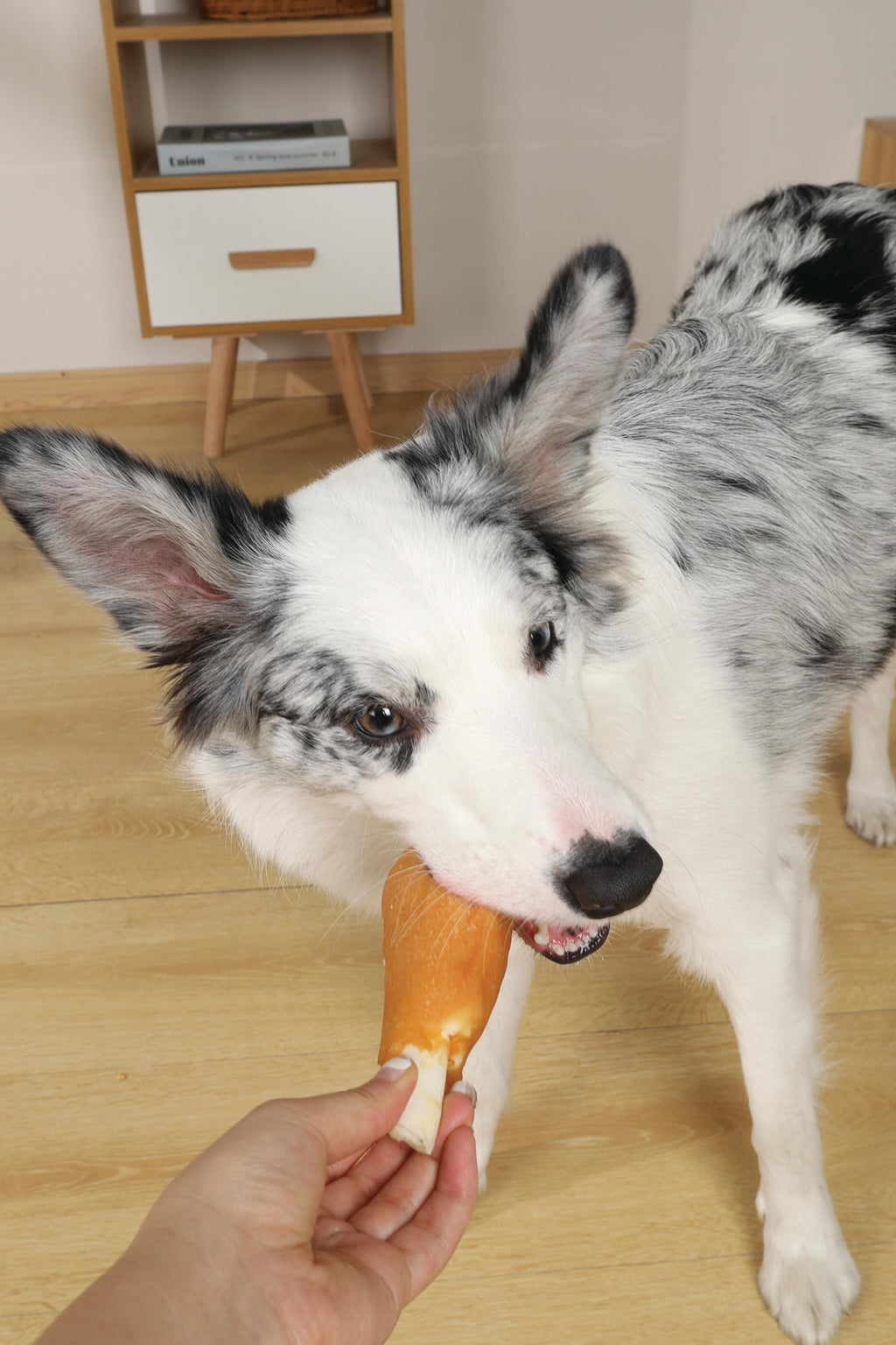 Friandise pour chien BITE DELIGHT à la cuisse de poulet