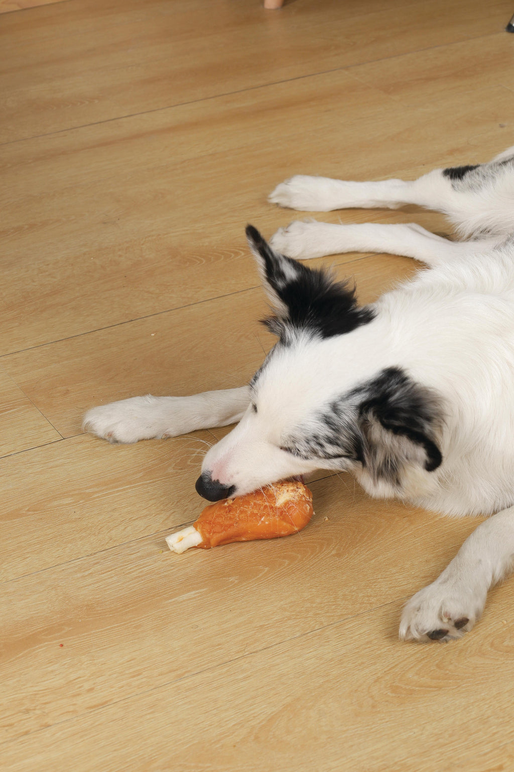 Friandise pour chien BITE DELIGHT à la cuisse de poulet