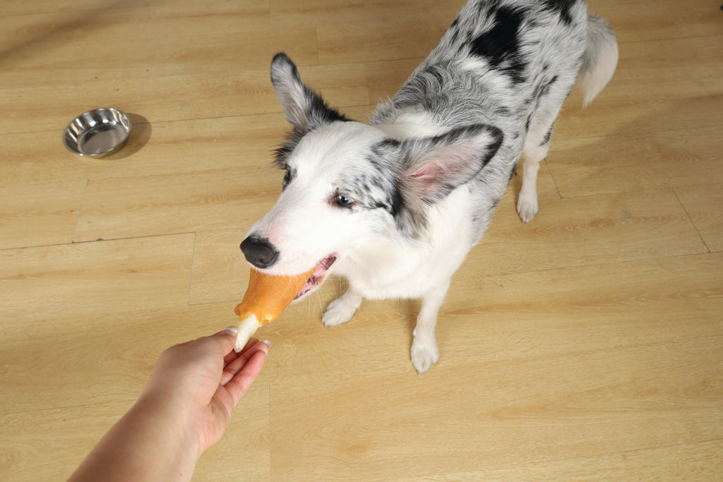 Friandise pour chien BITE DELIGHT à la cuisse de poulet