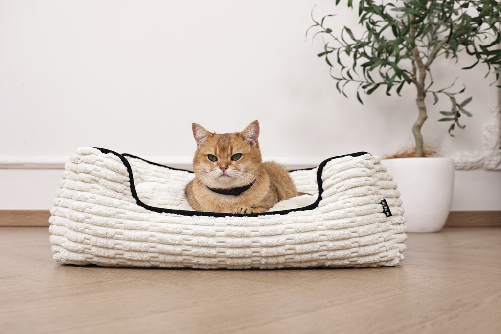 KEEP CALM - Calming pheromone collar set for cats 4 pcs