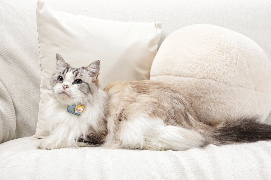 GLAM Hair Accessories for pets clip - Yellow